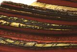 Polished Tiger Iron Stromatolite Slab - Billion Years #239601-1